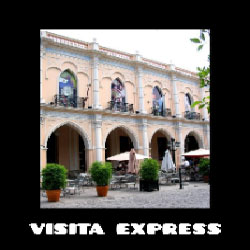Visita express (virtual)