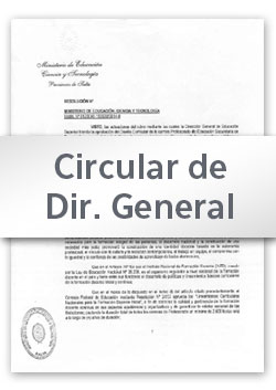 Circular Nº 01 DGEP (2020)
