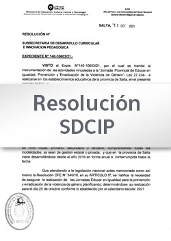 Res. SDCIP Nº 176-20